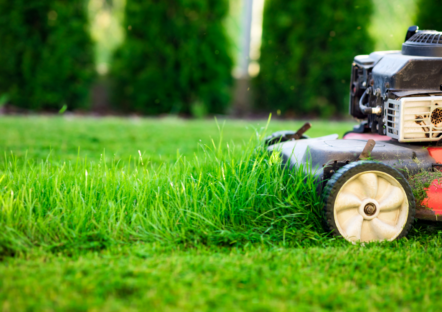 Red lawn mower cutting grass